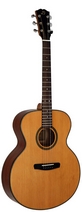 Акустическая гитара Dowina J 555