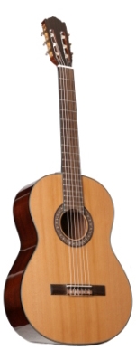 Классическая гитара Dowina CL100