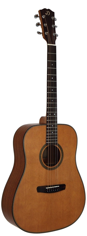 Акустическая гитара Dowina D 555