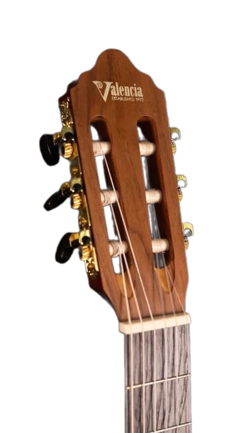 Классическая гитара Valencia VC314ASB