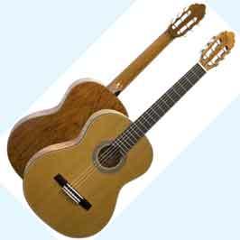 Классическая гитара Valencia CG30Rw/b