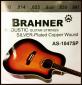 Струны для акустической гитары BRAHNER AS-1047SP