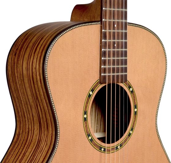 Акустическая гитара Dowina GA 222