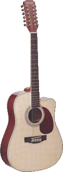 Двенадцатиструнная гитара Clevan CD-312C