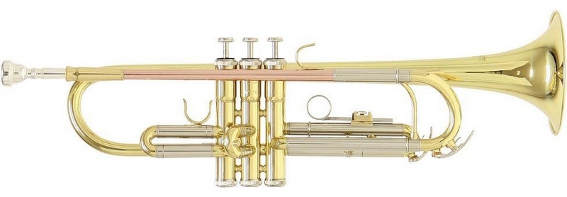Труба Roy Benson TR-202