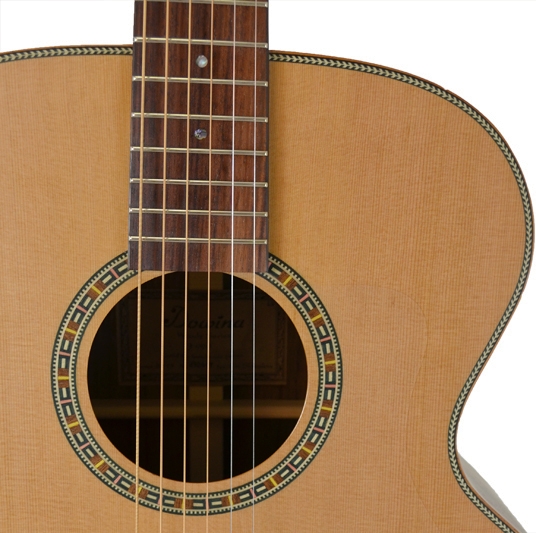 Акустическая гитара Dowina J999S-LE