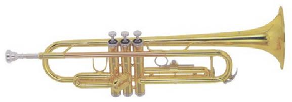 Труба "Bb" BRAHNER TR-520GB