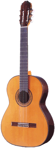 Классическая гитара M.Fernandez MF-40