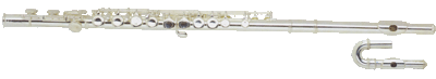 Флейта BRAHNER F-200SC