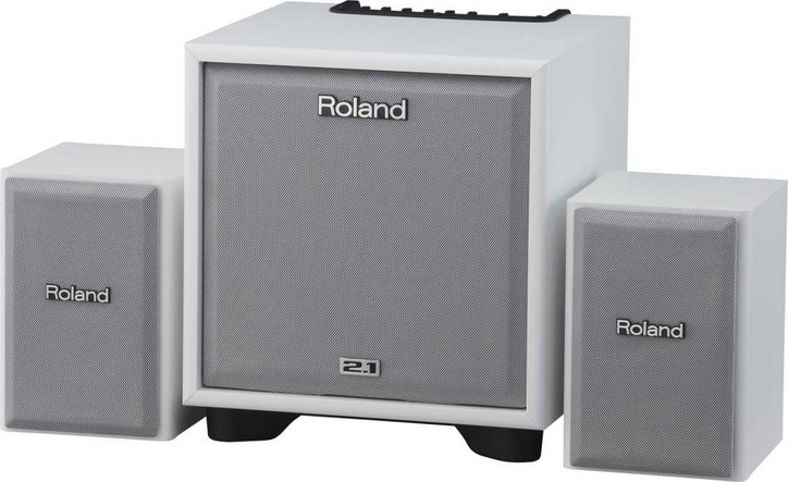 Комбоусилитель Roland Cube Monitor 110 WH