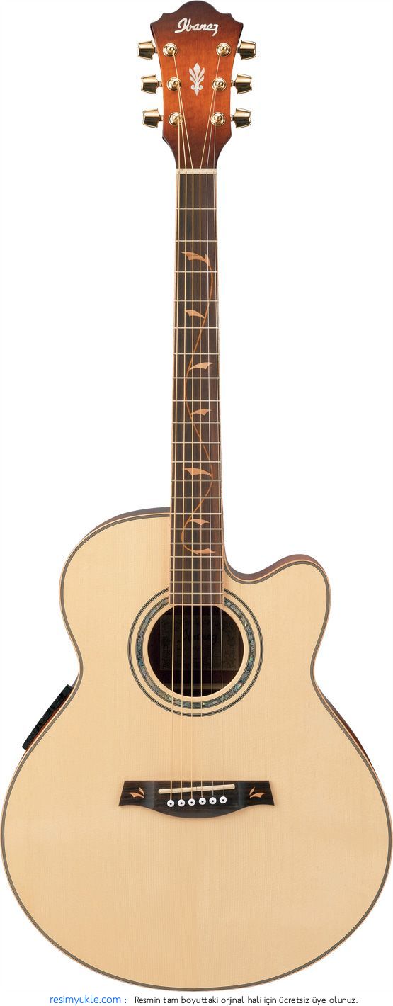 Электроакустическая гитара Ibanez AEL40SE  RESONANT NATURAL LOW GLOSS