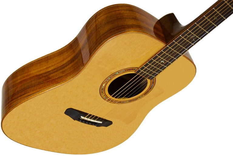 Акустическая гитара Dowina D 888