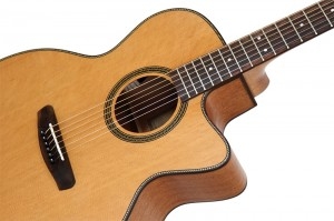 Акустическая гитара Dowina JC555-LE