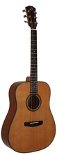 Акустическая гитара Dowina D 555