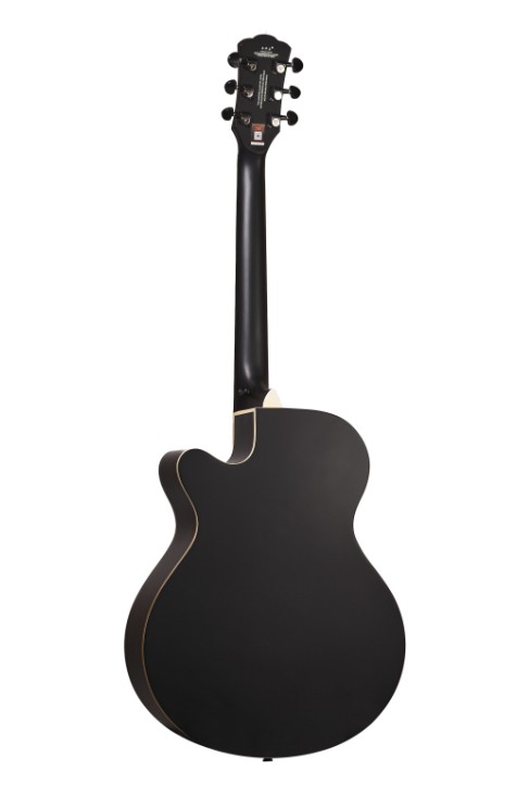 Акустическая гитара BULLFIGHTER D-4012 With bag, Black