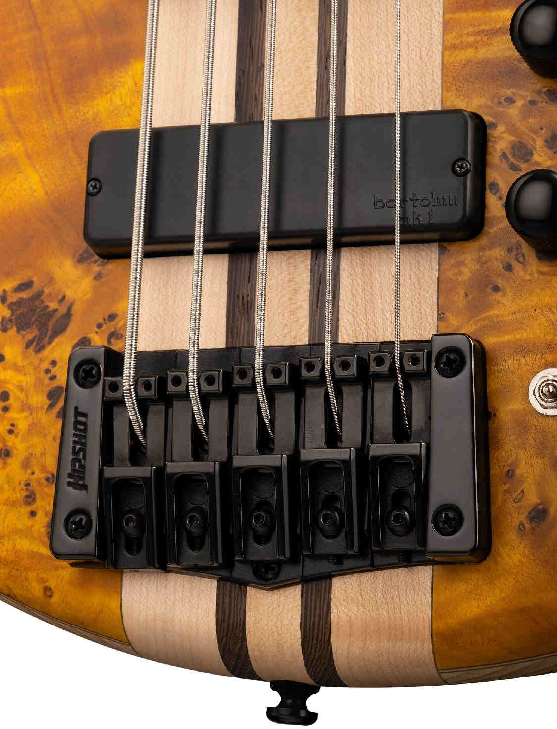 Бас-гитара Cort A5-Plus-SC-AOP Artisan Series