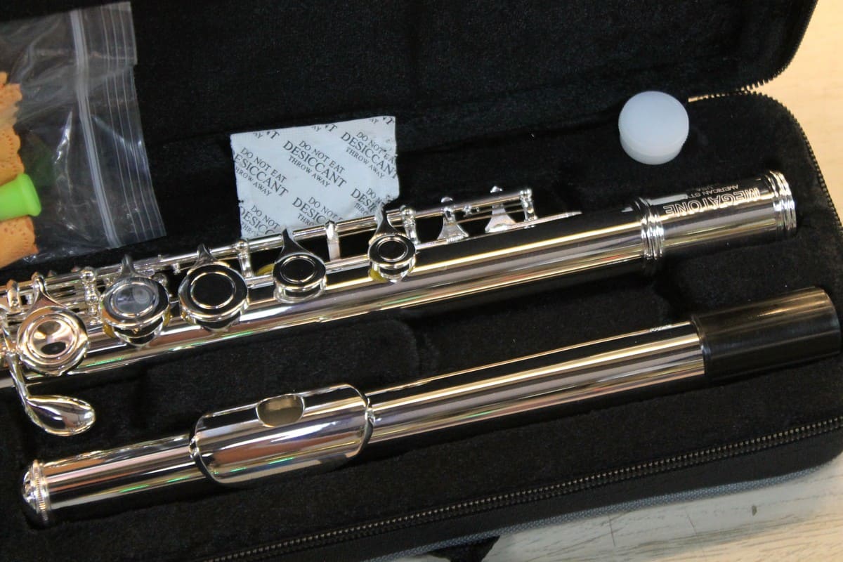 Флейта MEGATONE MTF-15S