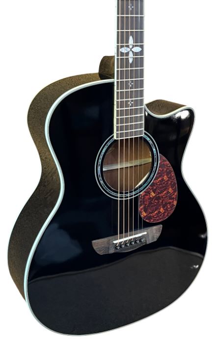 Акустическая гитара BULLFIGHTER D2XA Black With bag