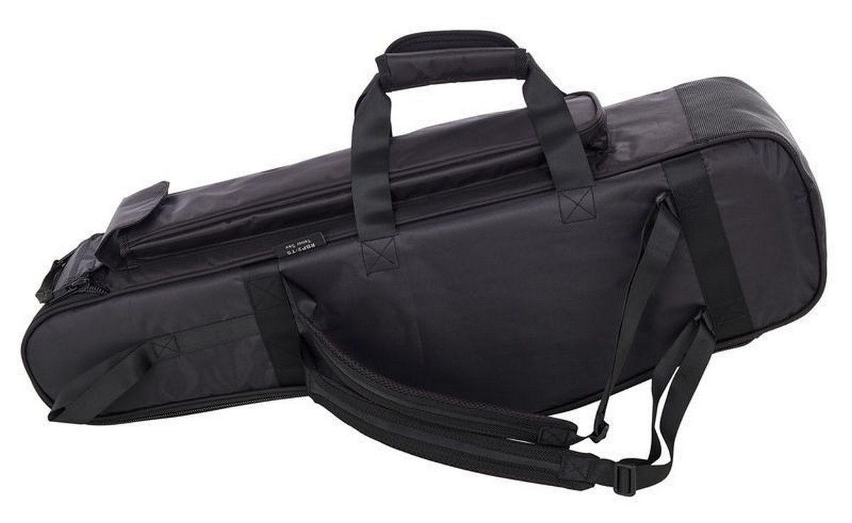 Чехол для саксофона альт RITTER RBP2-AS/BRD