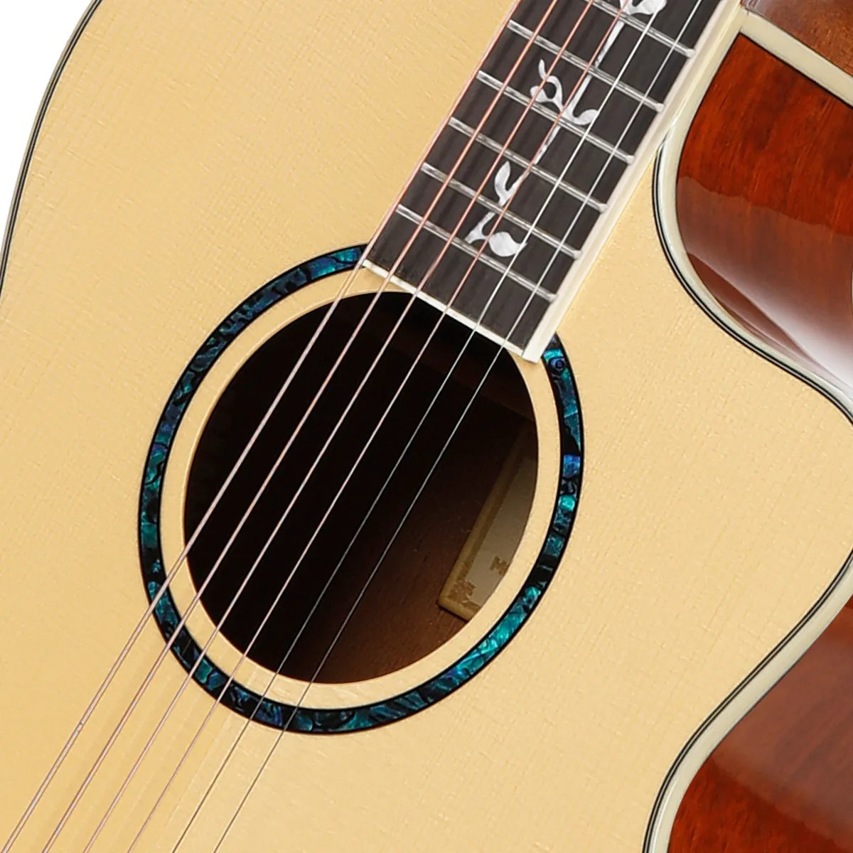 Акустическая гитара BULLFIGHTER D-4013NG NA