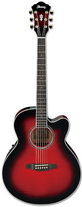 Электроакустическая гитара Ibanez AEL20ETRS