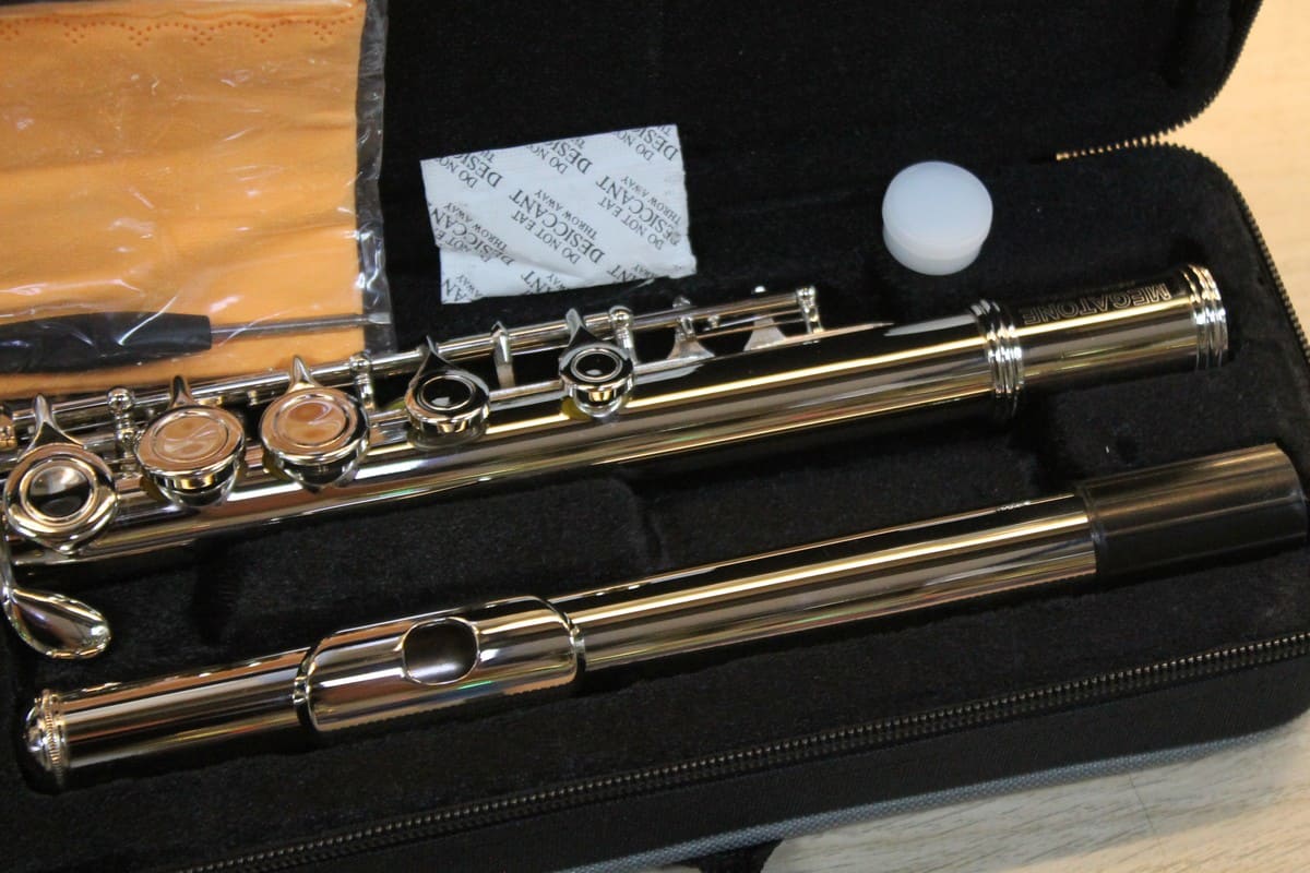Флейта MEGATONE MTF-10N