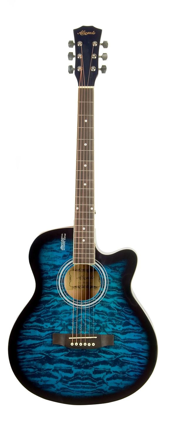 Акустическая гитара Alicanto A4030C BLS