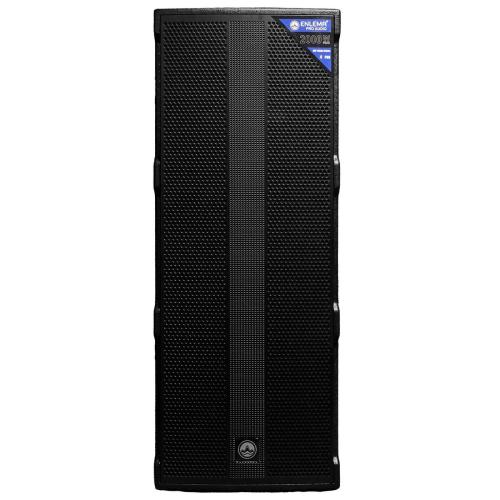 Акустическая система ENLEMA APS215 DSP