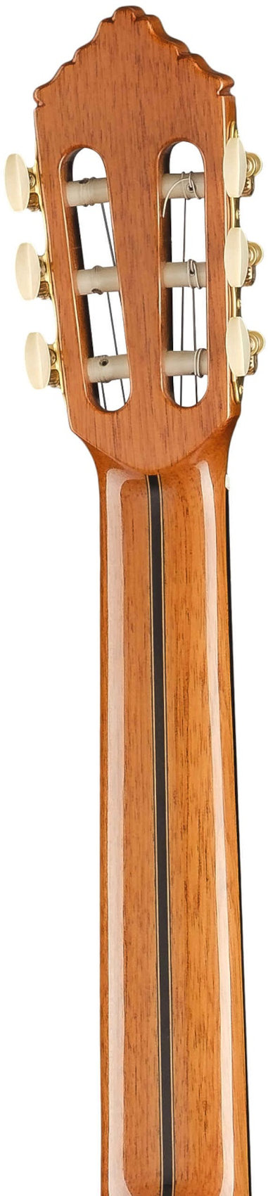 Классическая гитара Alhambra Premier Pro Madagascar 7.631