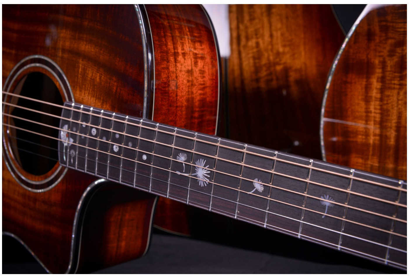 Электроакустическая гитара CRAFTER MIND T-2500e ALK DL