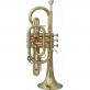 Корнет Sebastian SCR-900G