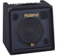 Клавишный комбо Roland KC-350 USD