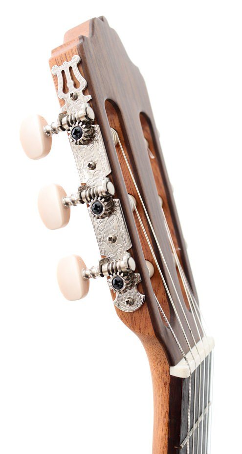 Классическая гитара Esteve 3Z SP Satin