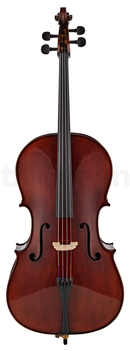 Виолончель GEWA Concert cello Georg Walther 4/4