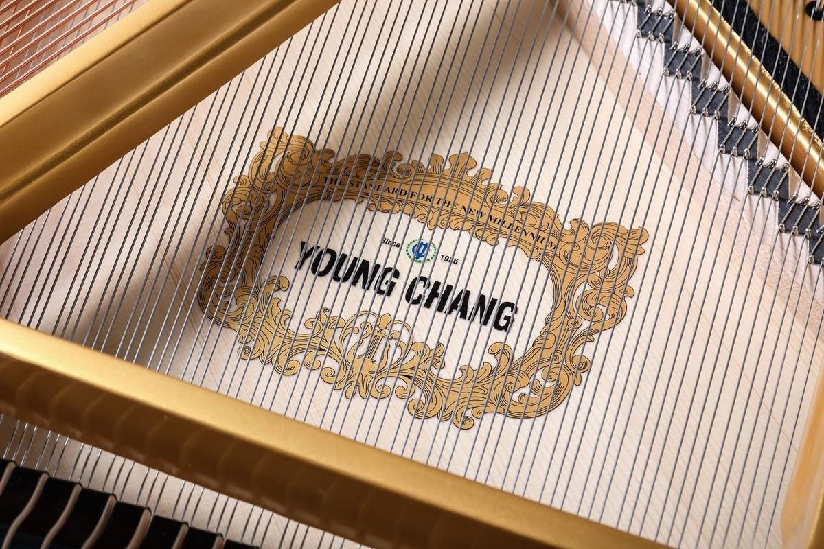 Акустический рояль Young Chang YC158E