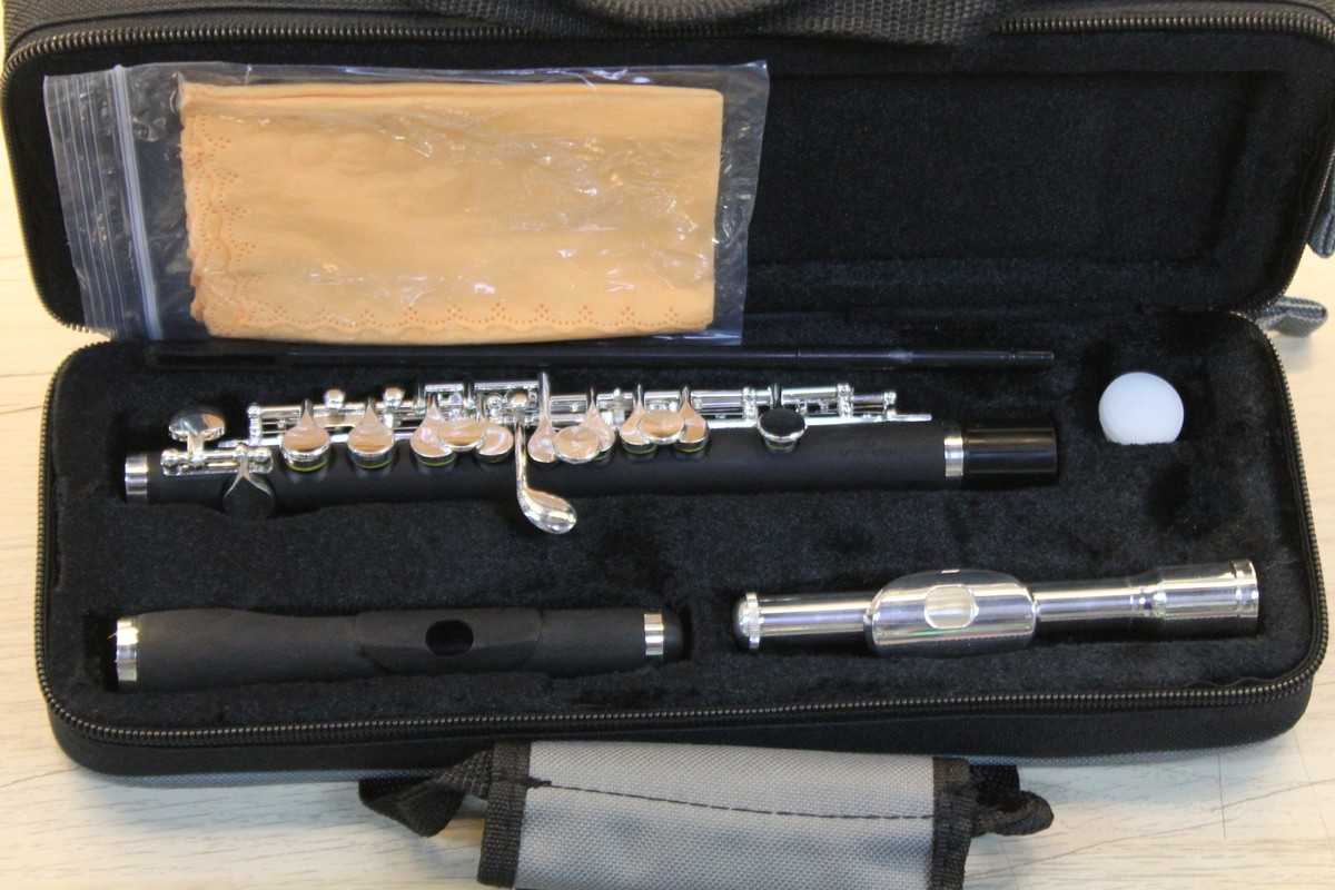 Флейта-пикколо MEGATONE MTPF-82DH