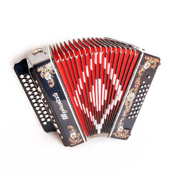 Гармонь Шуйская SZ32XL-G-BK 25х25-III-2 чёрная