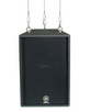 Акустическая система Yamaha C112VA