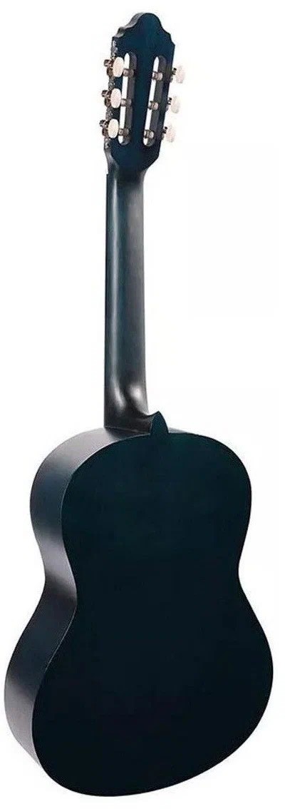 Детская гитара Valencia VC202TBU