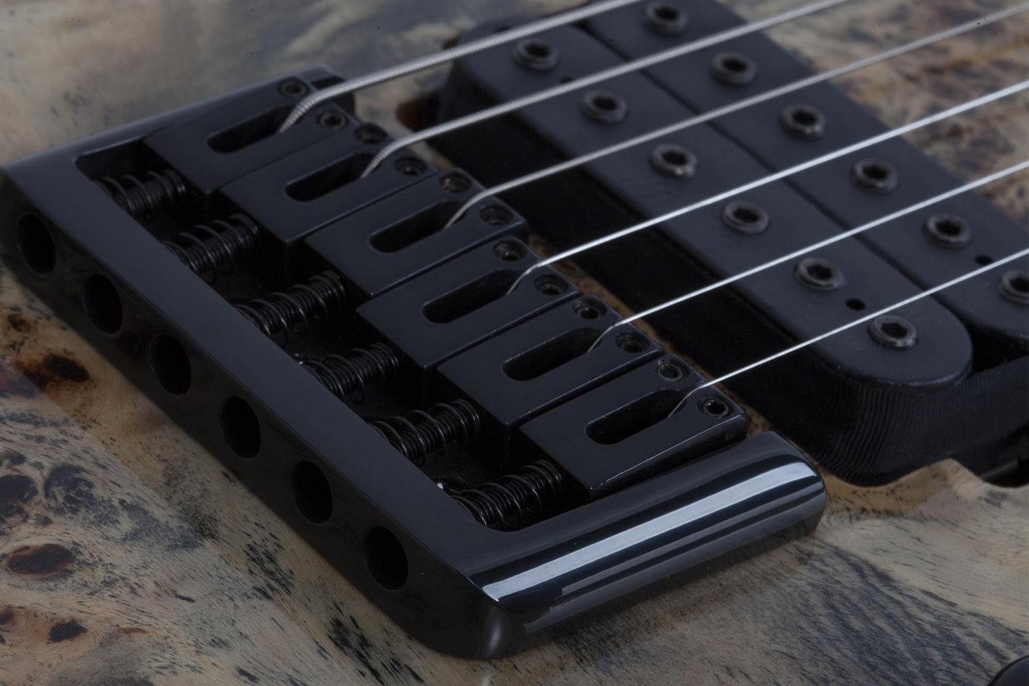 Электрогитара Schecter C-6 PRO CB