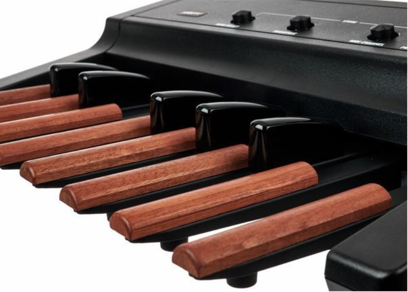 MIDI контроллер Studiologic Midi Pedalboard MP113
