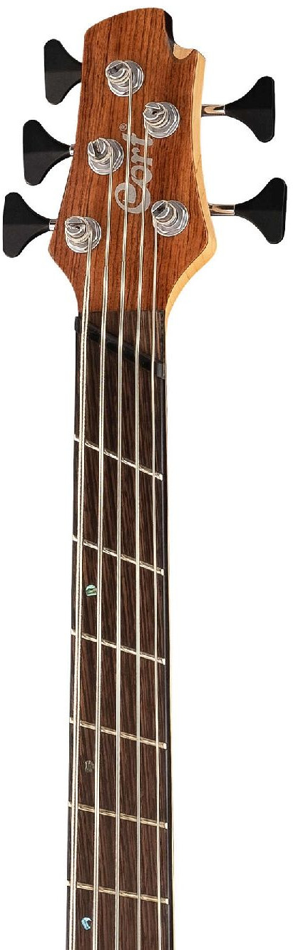 Бас-гитара Cort A5-Beyond-WCASE-OPBN Artisan Series