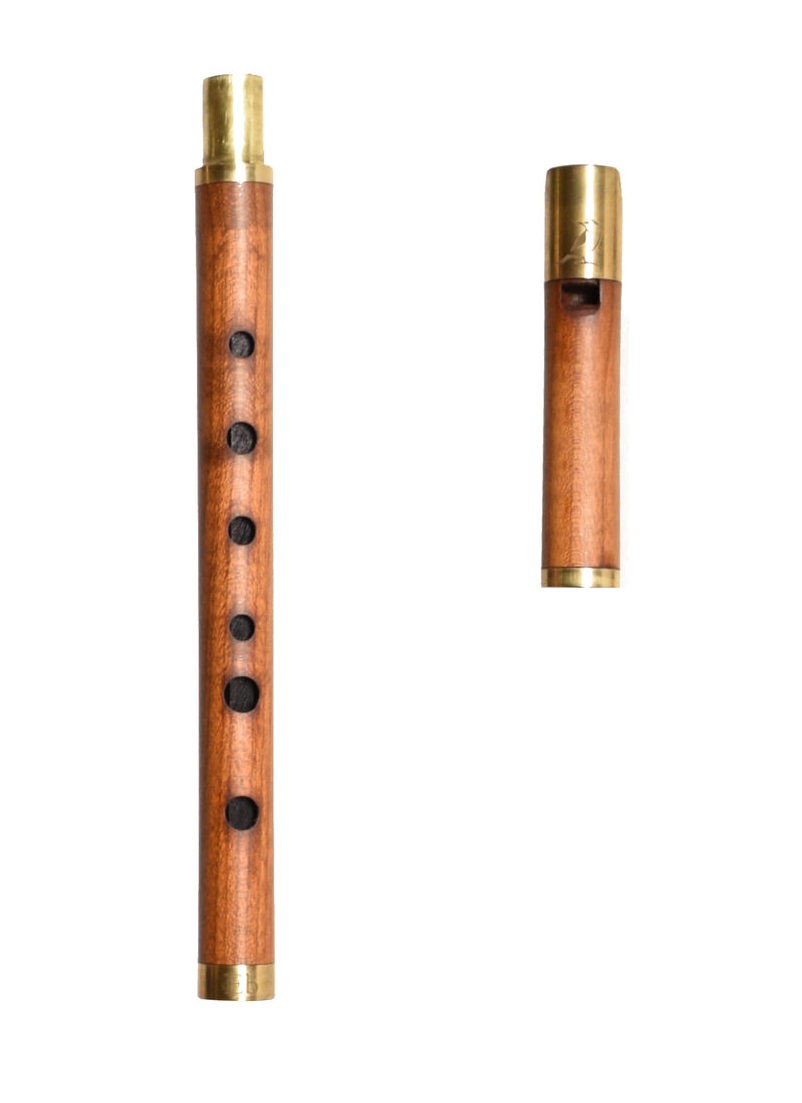 Вистл iVolga VEbC-01