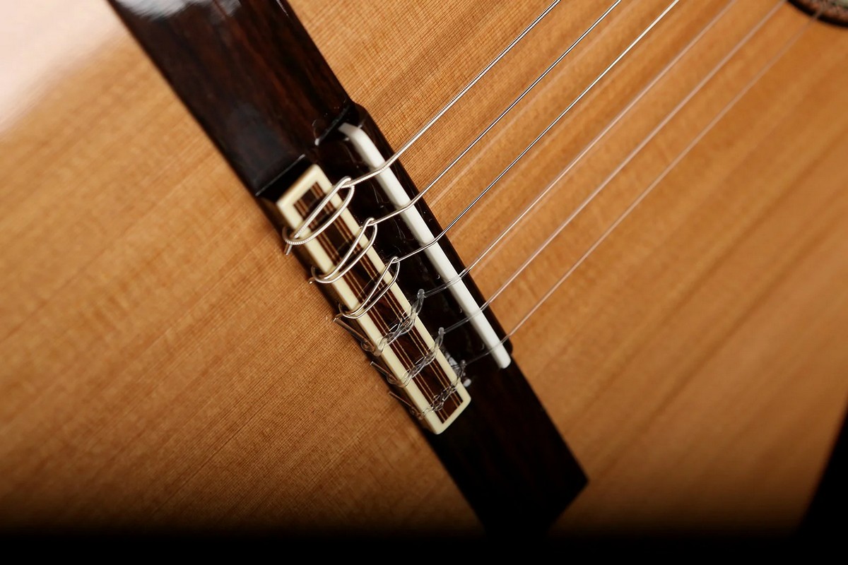 Классическая гитара ALTAMIRA N300+ CASE