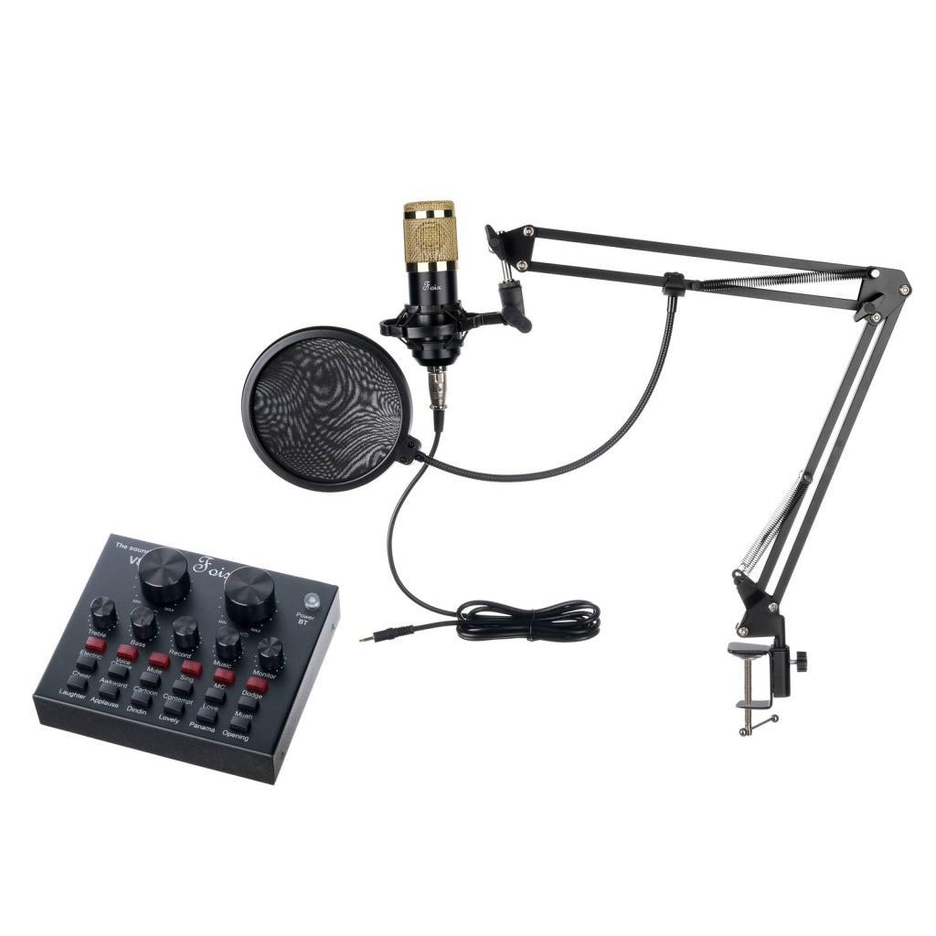 Комплект для звукозаписи Foix V8+BM800