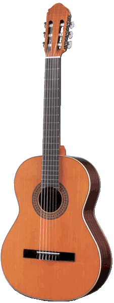 Классическая гитара M.Fernandez MF-12
