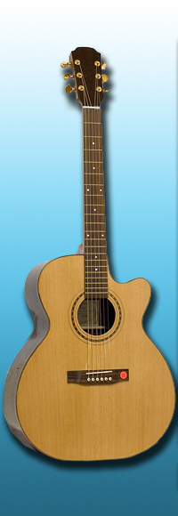 Акустическая гитара Cremona JC973