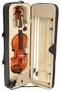 Скрипка DOWINA Belcanto Violin BCV