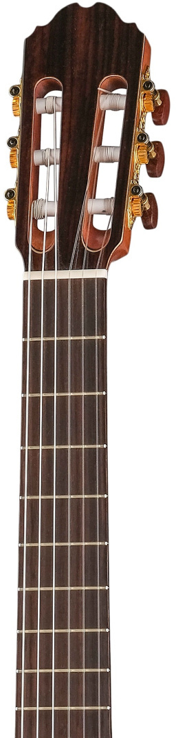 Электроклассическая гитара Kremona F65CW-T-w/bag Performer Series Fiesta
