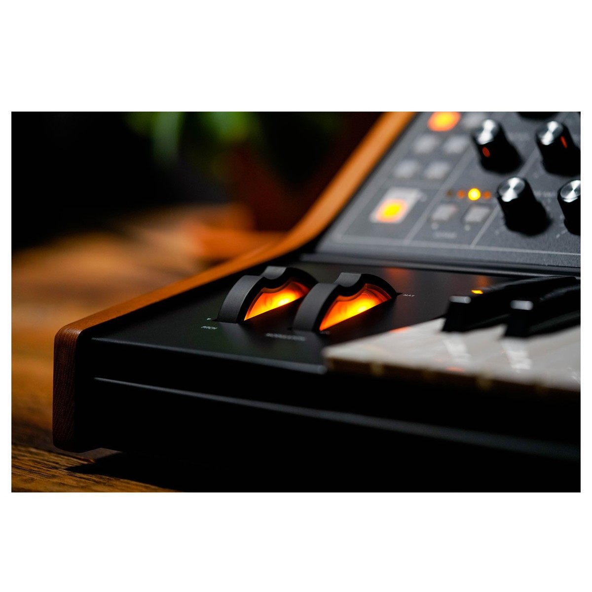 Синтезатор Moog Subsequent 25